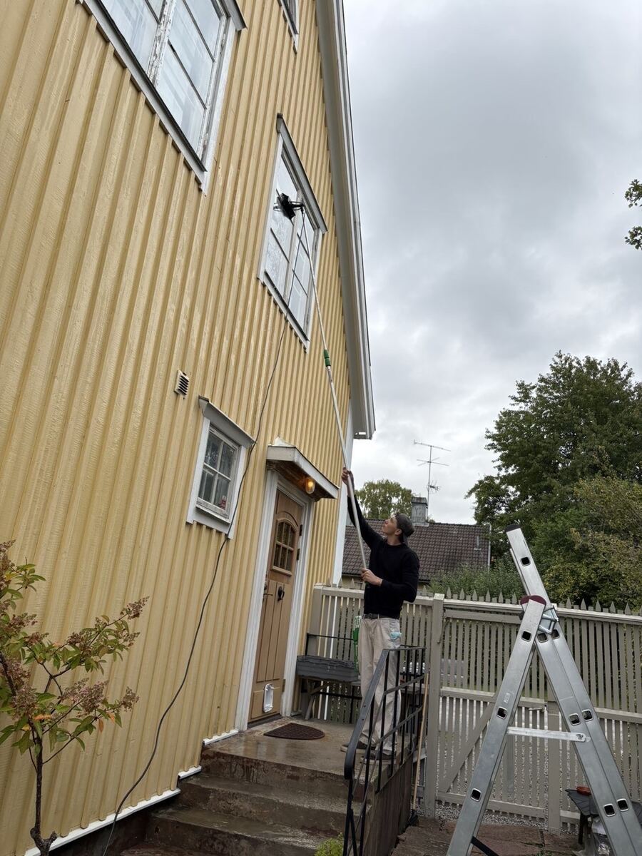 En av oss sträcker sig med rentvattenstång längs en hög gul fasad, stege redo vid trappan